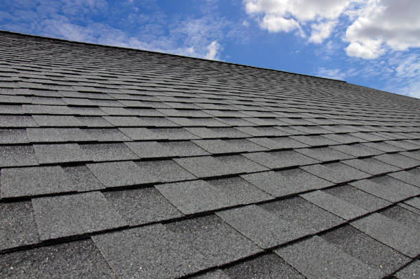 Best Roof Maintenance and Cleaning  in White City, FL